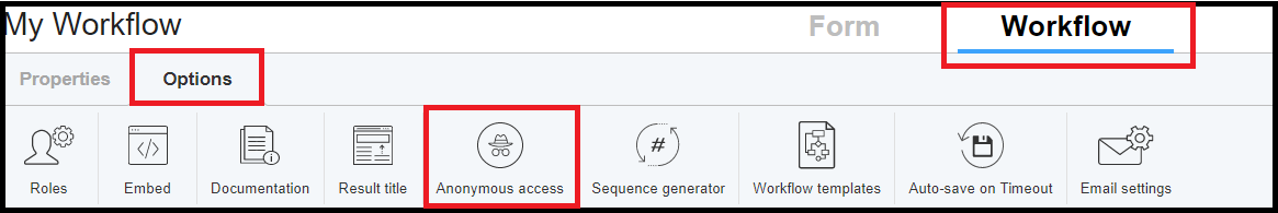 workflow options anonymous access.png