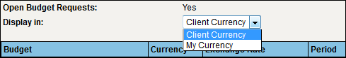 View Budget Currency View Budget Currency