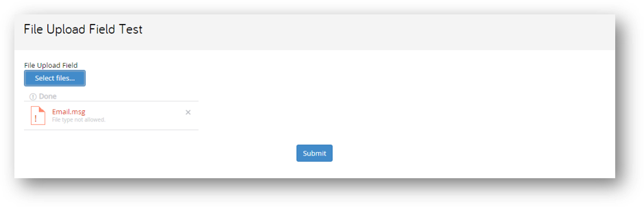 file upload field test error message.png