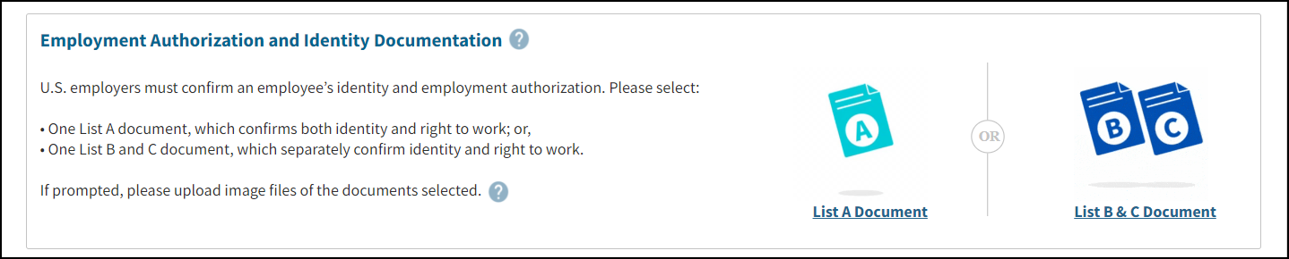 Employment Authorization and Identity Documentation section.png