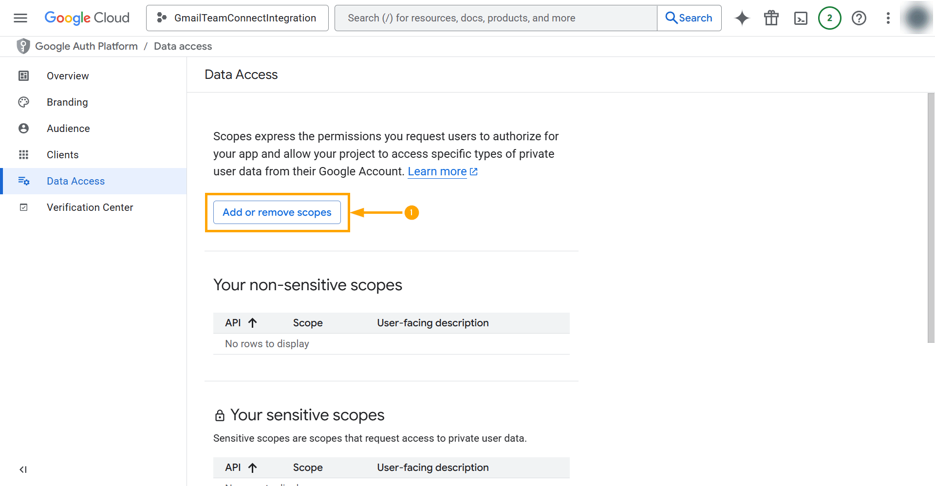 3biv - Data Access (Scopes).gif