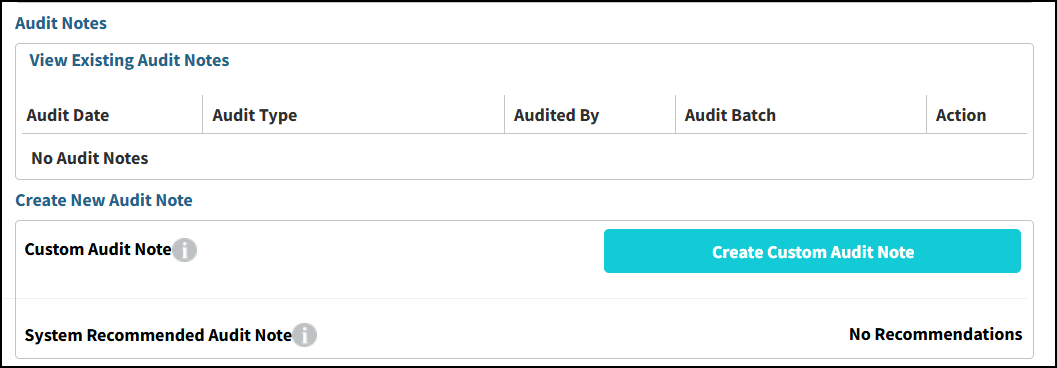 Audit Notes.png
