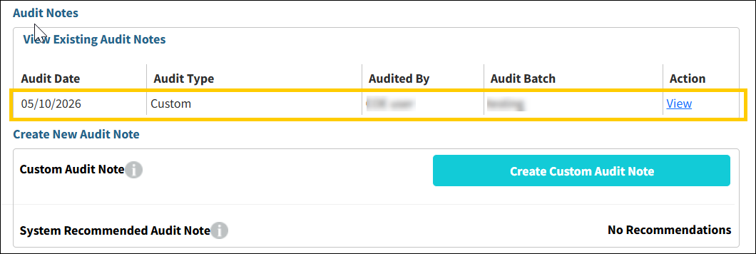 View Existing Audit Notes.png