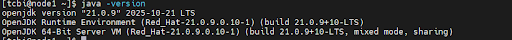 Java version verification output