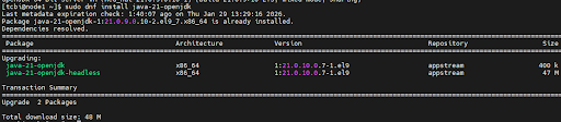 Java 21 installation output